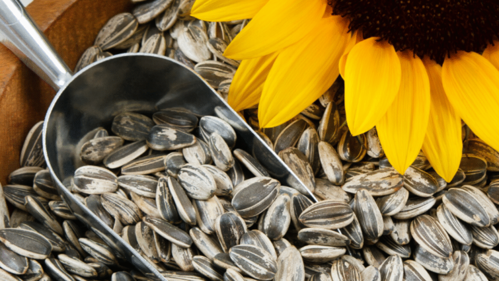 10 Healthy Foods to Naturally Boost Your Immune System