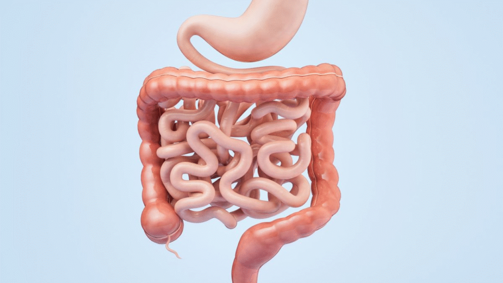9 Simple Daily Habits to Boost Gut Health Naturally