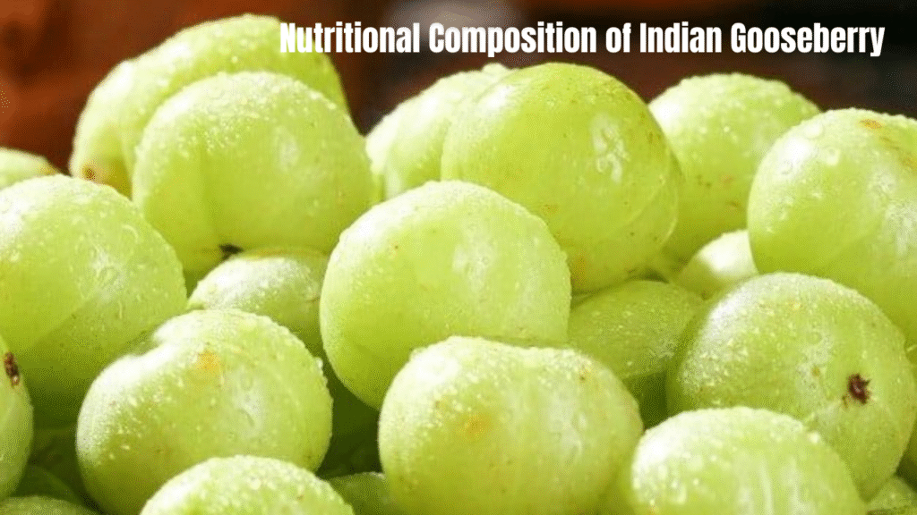 Powerful Health Benefits of Amla for Immunity & Hair Care