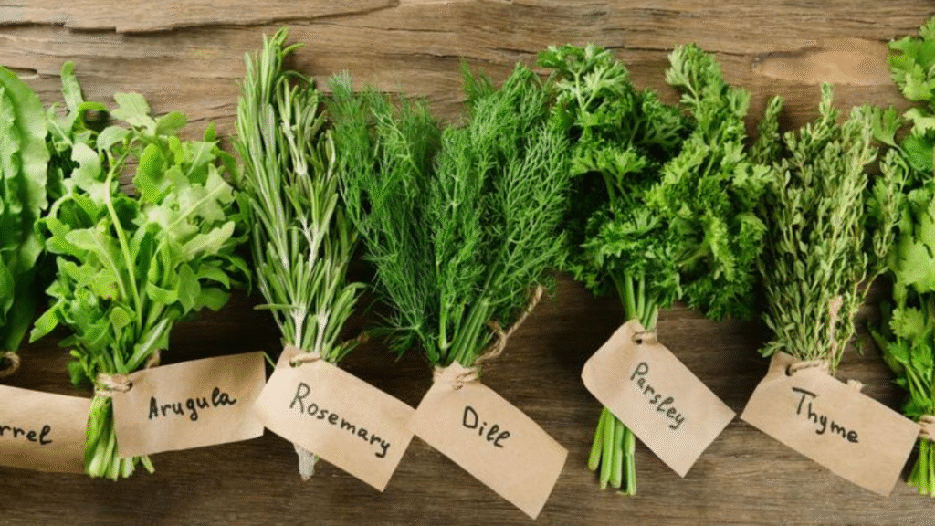 Natural Home Remedies for Acidity: Fast Relief Tips