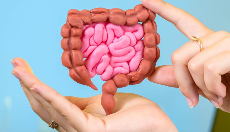 9 Simple Daily Habits to Boost Gut Health Naturally