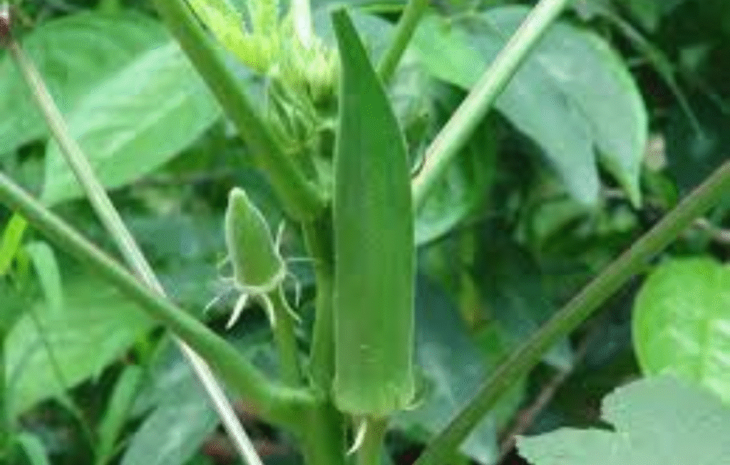 7 Diabetes-Friendly Veggies Loaded with Antioxidants, According to Experts