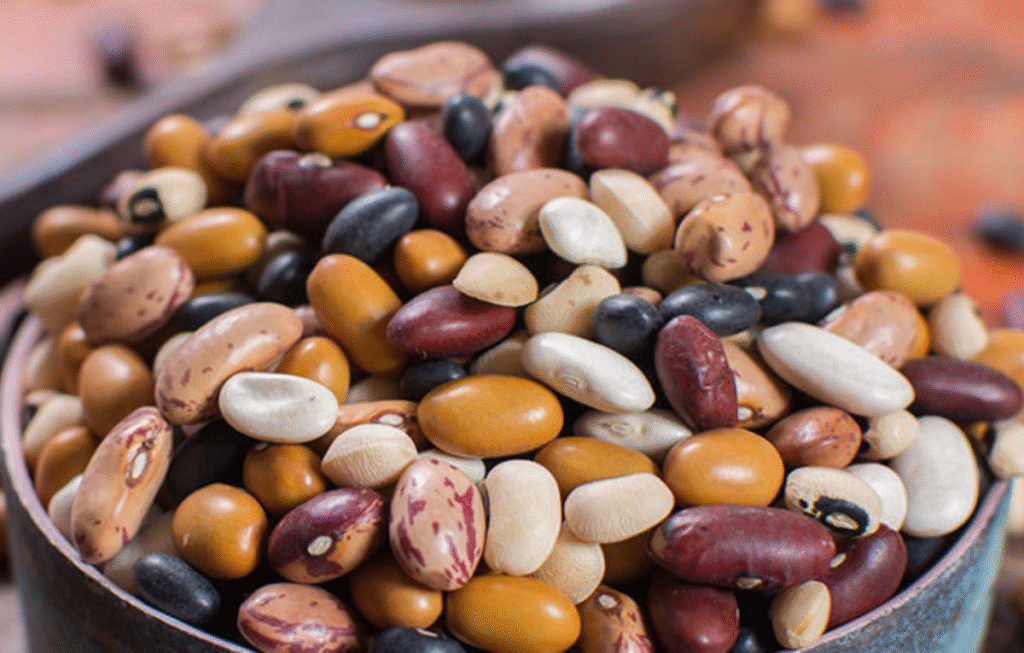  Roasted Beans (Chickpeas, Soybeans, Fava Beans)