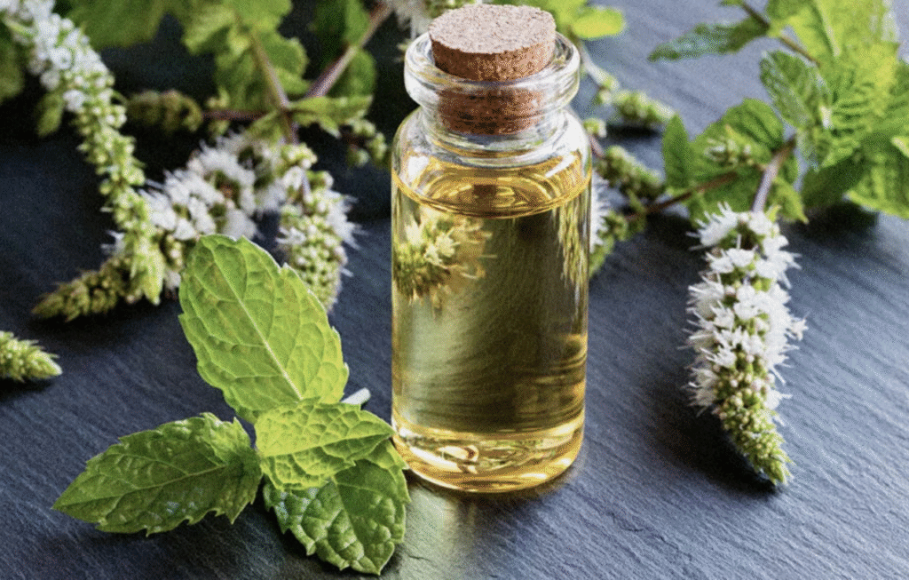 Best Oils for Hair Fall: What Works & What’s Just Hype?