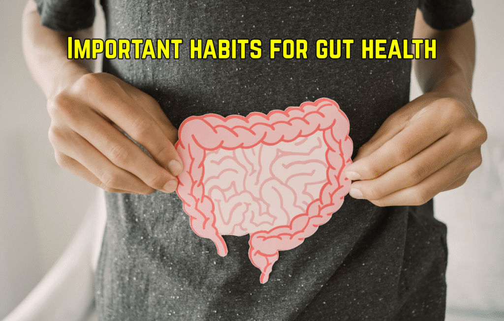 Gut Health 101: Best Foods and Habits for a Healthy Microbiome