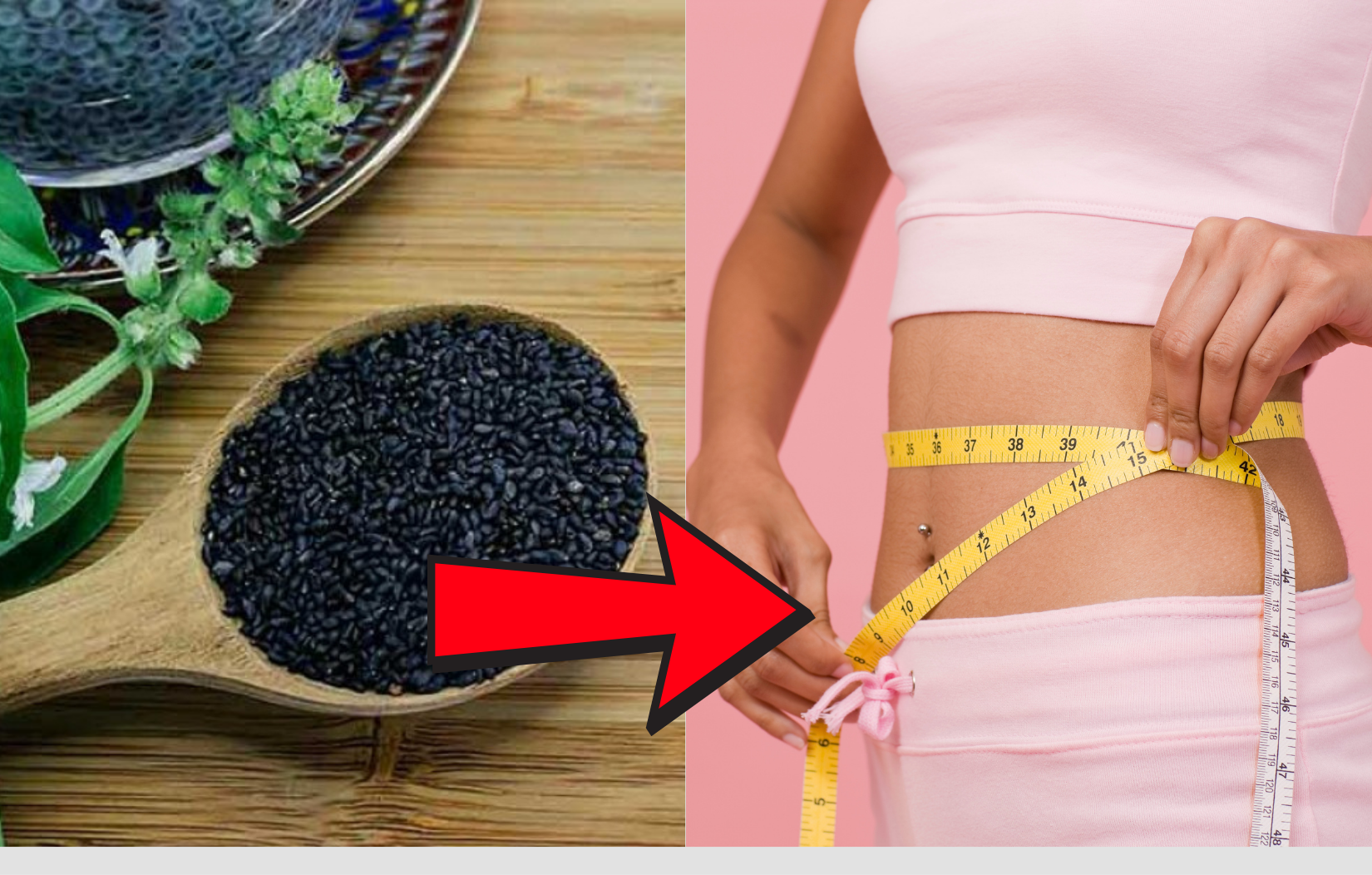 Sabja Seeds for Weight Loss: Benefits and Usage Tips