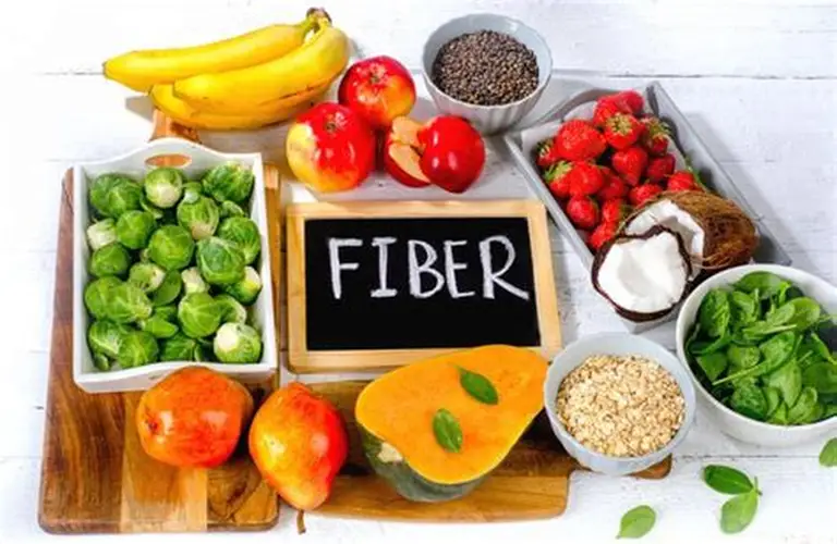 High-Protein vs High-Fibre Foods: Which Is More Effective for Weight Loss?
