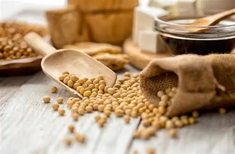 Do Soybeans Increase Breast Cancer Risk? Expert Oncologist Explains