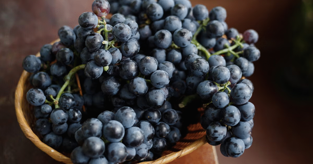 10 Black-Coloured Foods Packed with Amazing Health Benefits