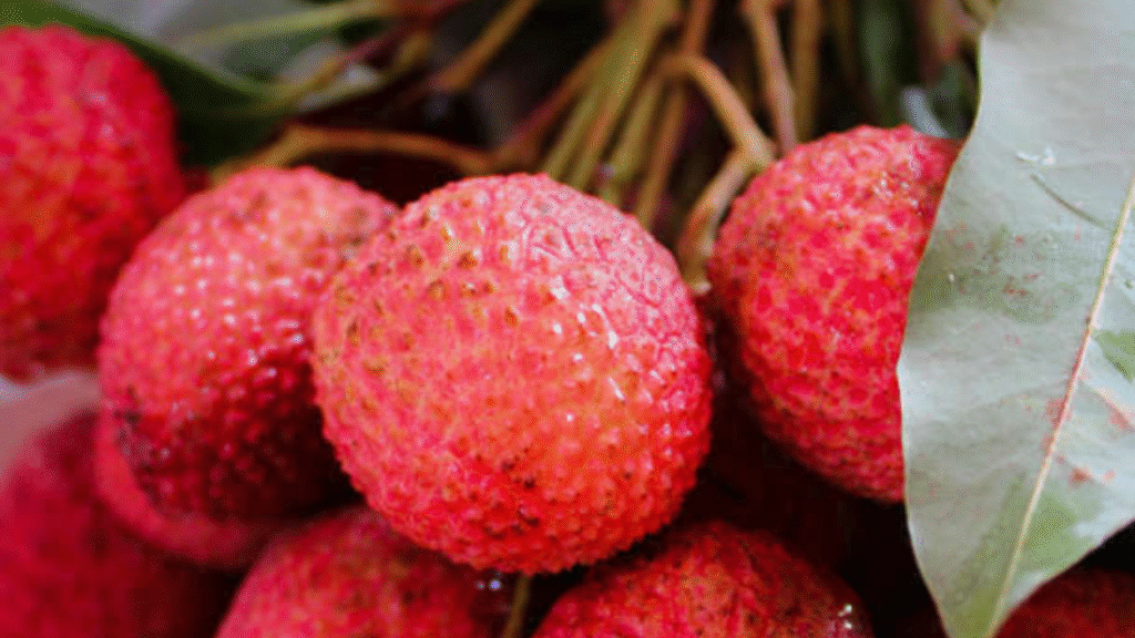 10 Powerful Nutrients Found in a Bowl of Lychee Fruit