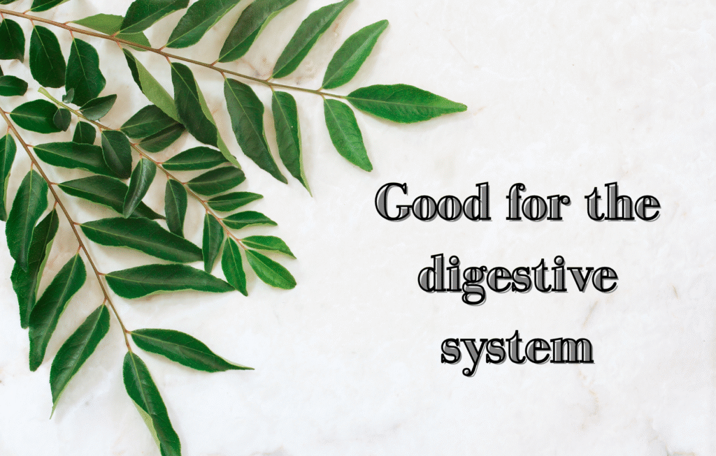 9 Reasons to Include Curry Leaves in Your Diet and Lifestyle