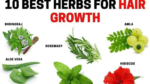 10 Best Herbs to Boost Hair Growth and Strength Naturally