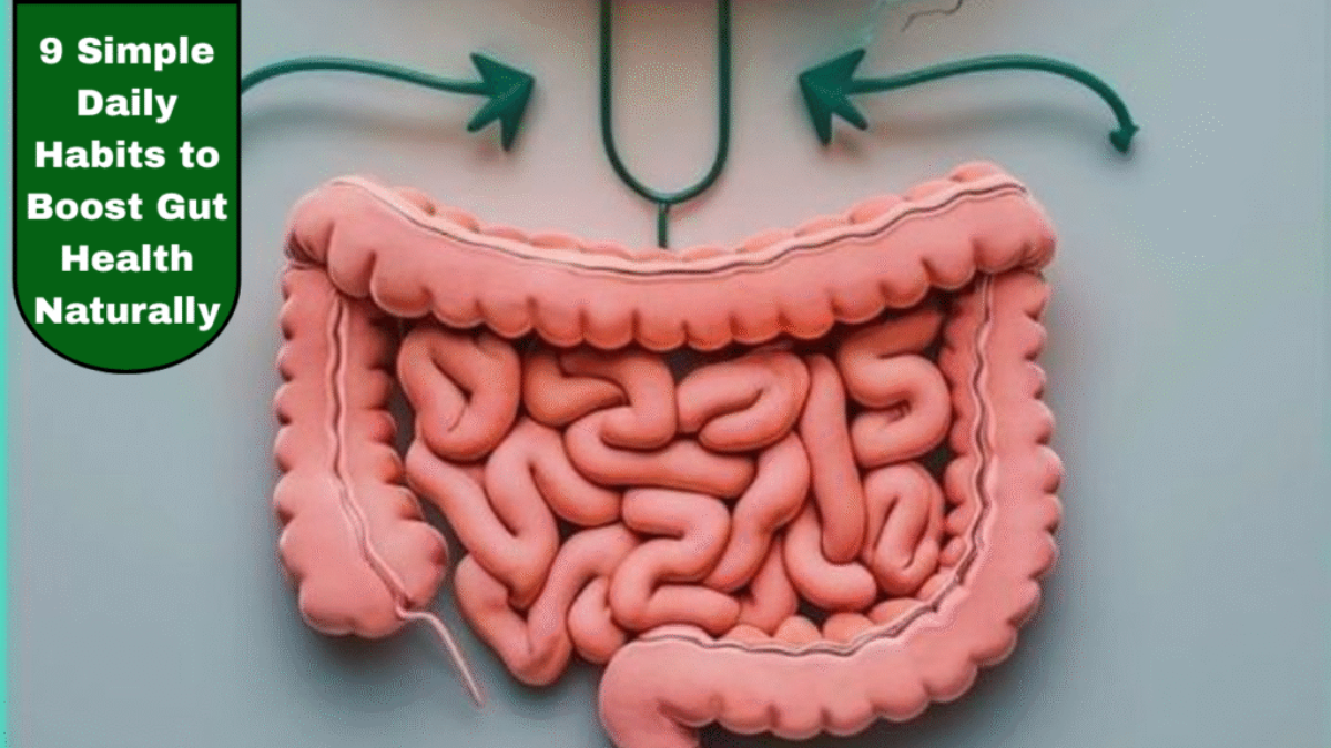 9 Simple Daily Habits to Boost Gut Health Naturally
