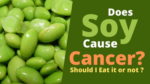 Do Soybeans Increase Breast Cancer Risk? Expert Oncologist Explains